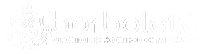 logo-borboleta